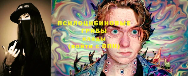крисы Армянск